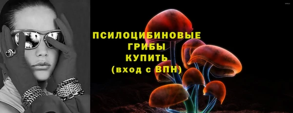 дмт Алексин