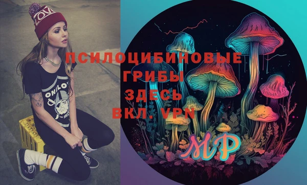 дмт Алексин