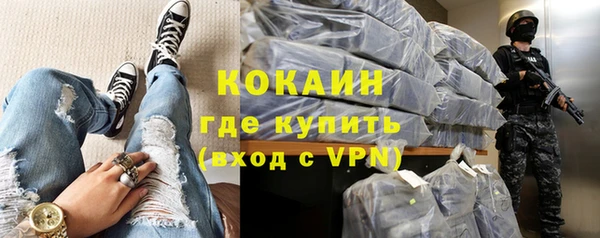 дмт Алексин