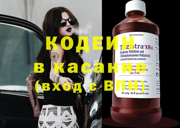 молекула духа Алзамай