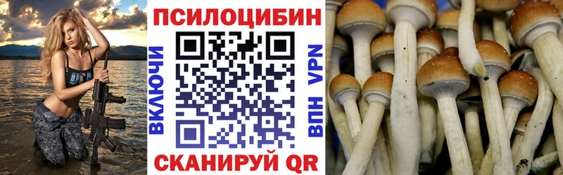 Псилоцибиновые грибы Psilocybine cubensis это Telegram Шадринск